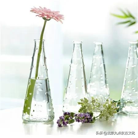 折花逢驿使寄与陇头人的意思,折花逢驿使寄与陇头人谁写的