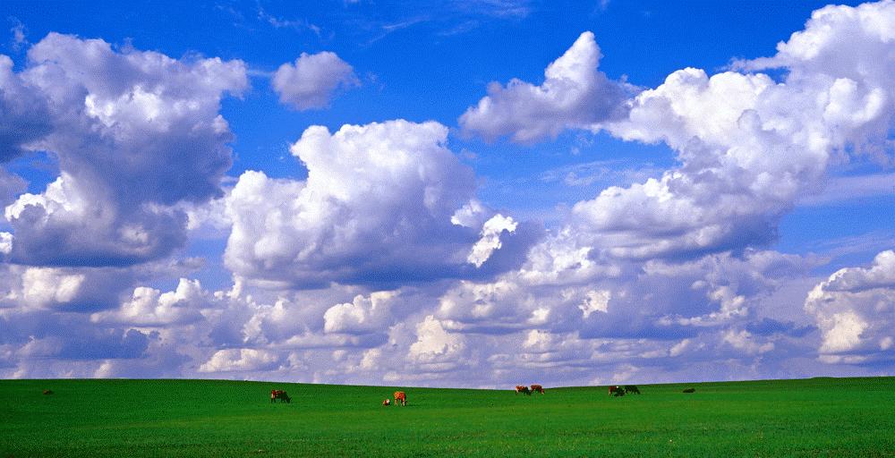 仲夏夜之梦古诗朗诵,仲夏之梦的诗歌