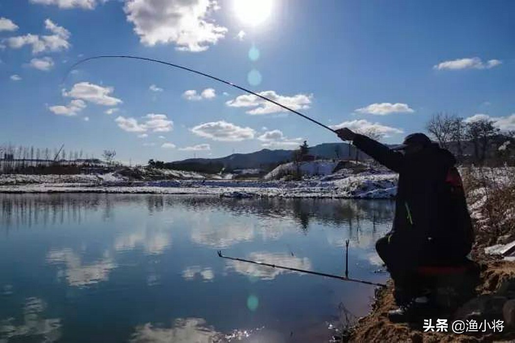 秋冬打窝什么酒米最好,冬天酒米打窝的方法