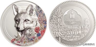 中国最美纪念币硬币,世界纪念币大奖名单