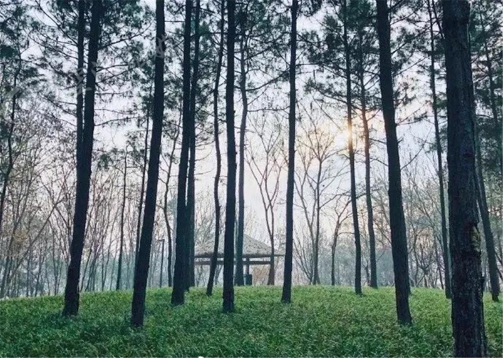 在双流,在双流没钱去哪里玩