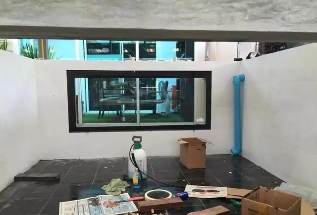 国外某熊孩子自告奋勇去擦缸把龙鱼吓脱臼了！