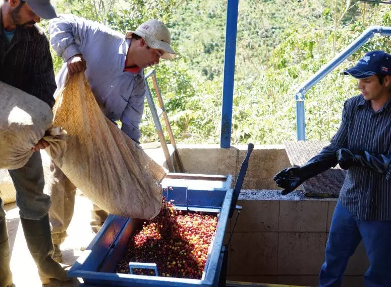 02年世界杯中国打了哪几队,02中国世界杯输给了谁