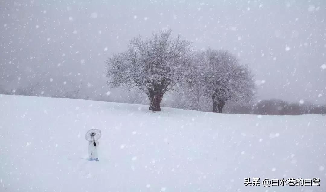 你真的理解正则化了吗,你真的理解射手座吗