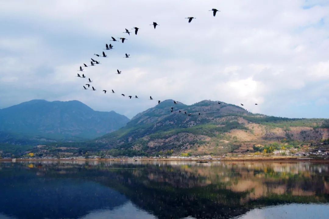 丽江到梅里雪山小众路线,丽江周边最小众的雪山