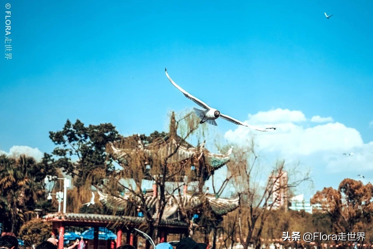 建水罗平元阳自由行攻略,云南元阳县旅游攻略路线