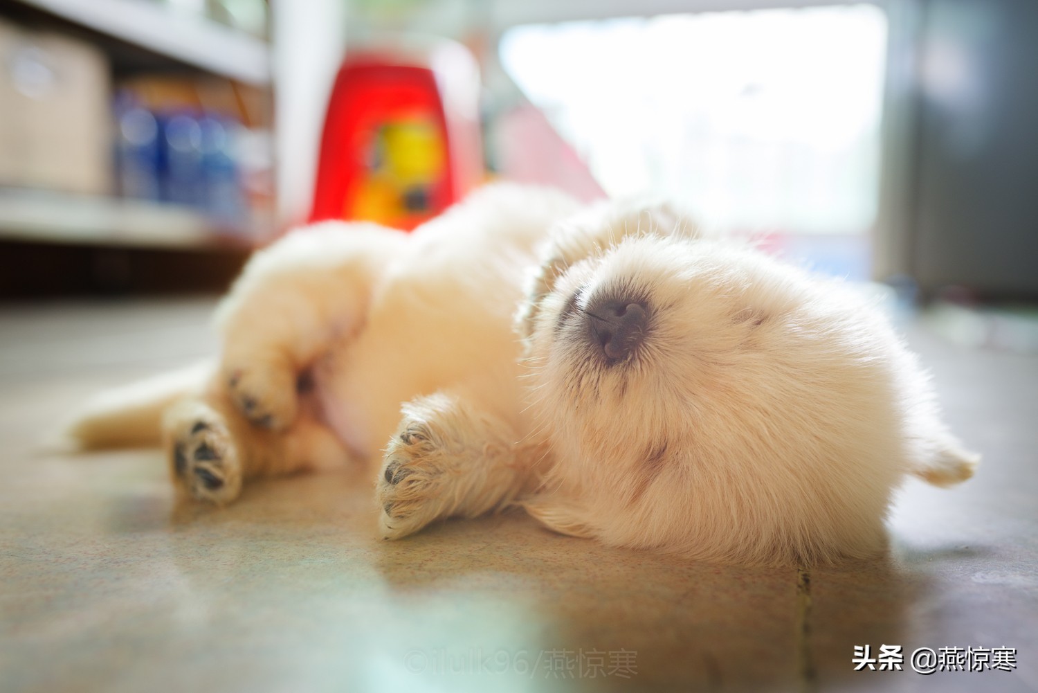 说说你用的相机,理光镜头和宾得通用吗