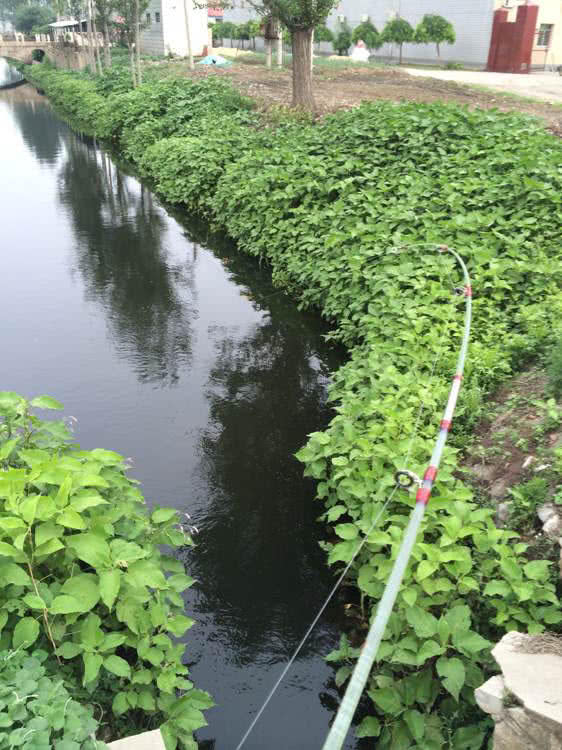 路亚打黑怎么找黑鱼,路亚钓法打黑