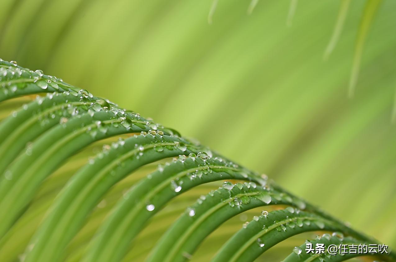 从尼康24-200镜头表现看超大变焦成气候还有必要用大三元吗