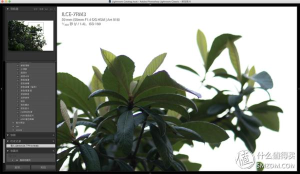 适马56mm1.4定焦镜头最短对焦距离,适马24-70f2.8镜头改变光圈效果