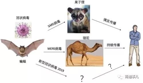 赤子情华侨图书馆,赤子情大讲堂完整版