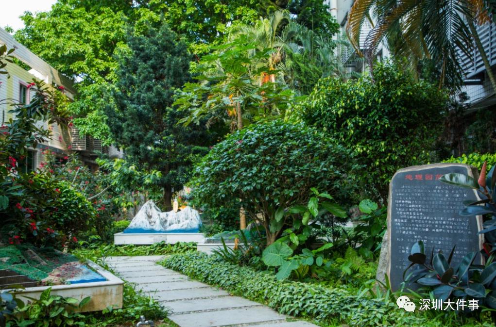 深圳中学牛娃,深圳牛蛙聚集地