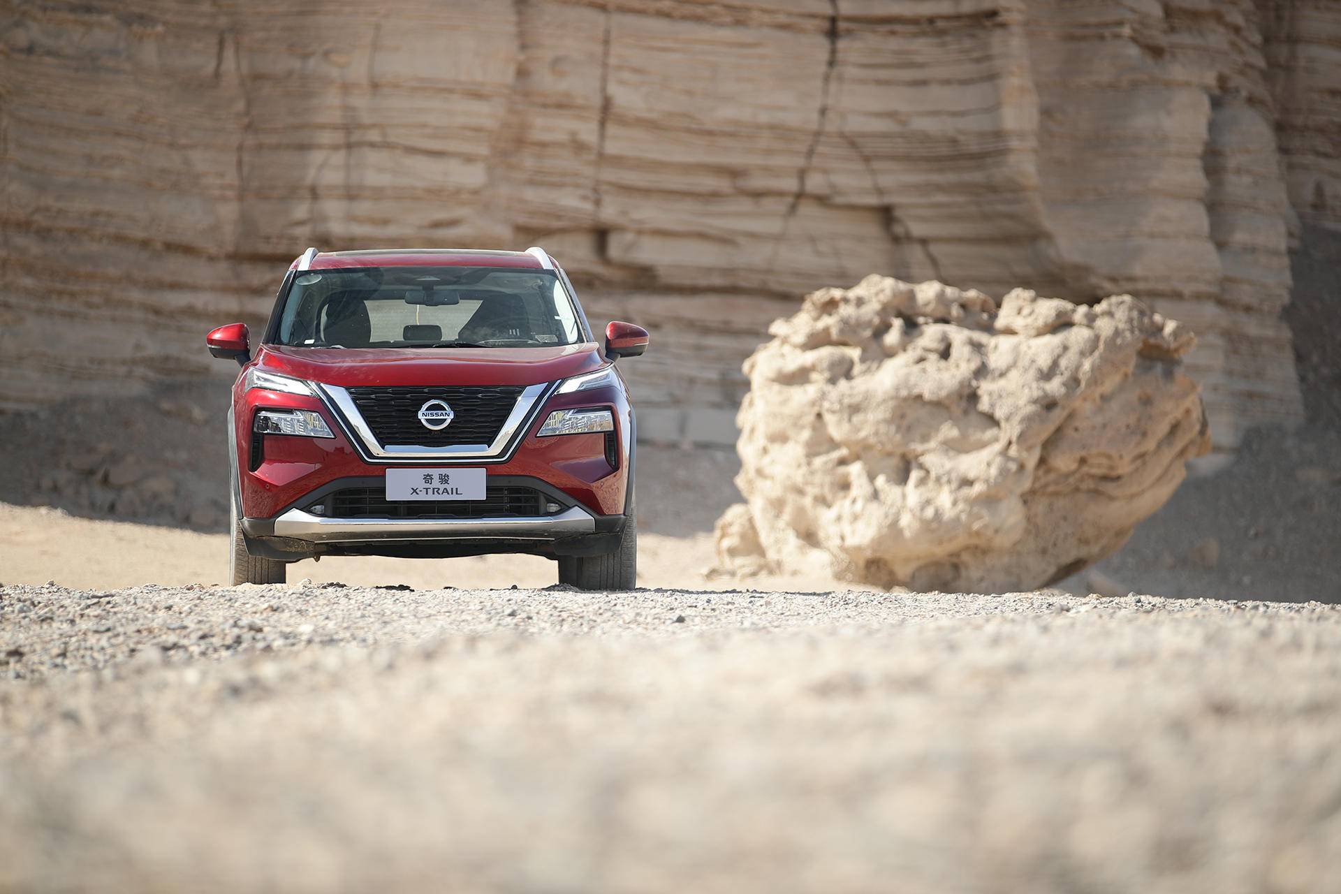 鱼和熊掌可兼得原文,鱼和熊掌也可兼得2016