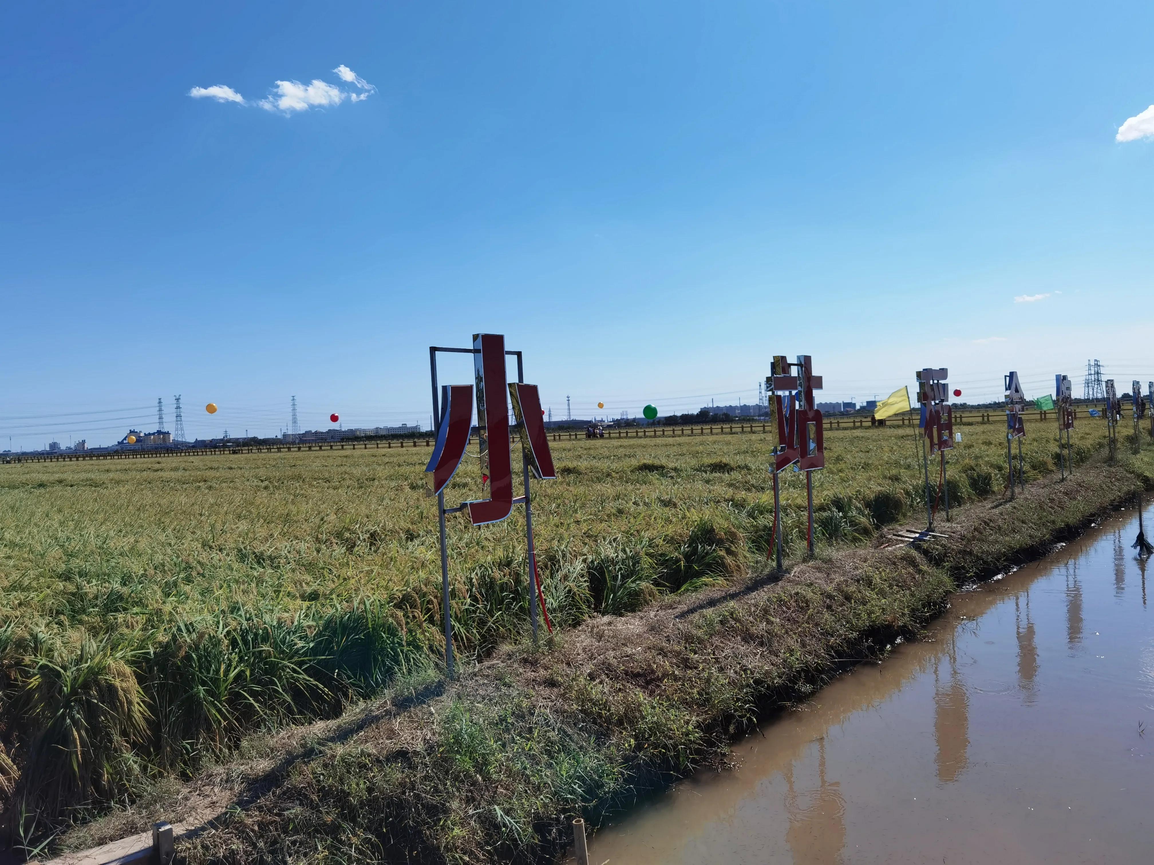 小站第一二段给你留下什么印象,小站印象