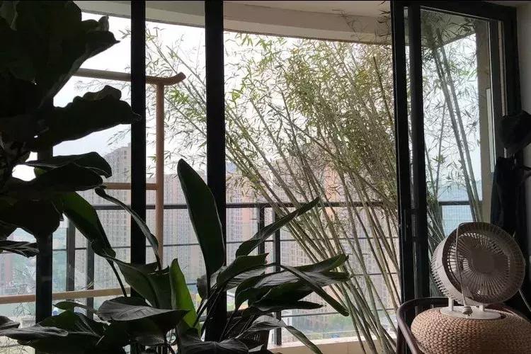 家具不要买太多极简生活,家具都是捡来的