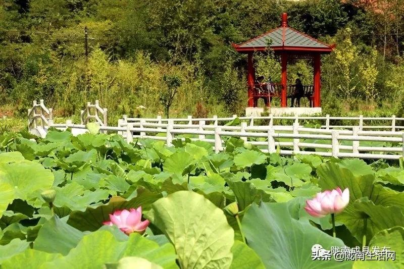 我叫成县,这是我2019年的自拍照