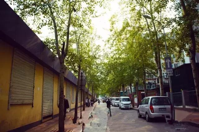 灞卞笀闄勪腑鍒嗘牎,鑿忔辰灞卞笀闄勪腑