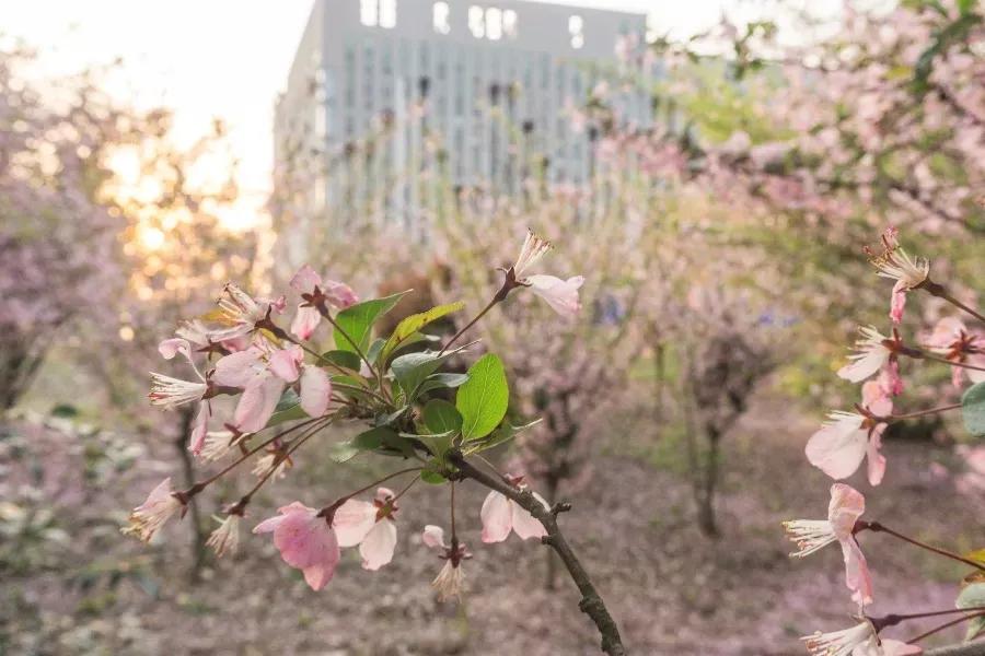 安徽合肥大学二本院校,安徽合肥工业大学
