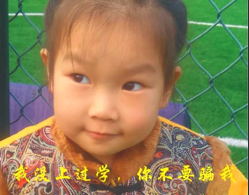 动物疾病的治疗与防治,动物生病的自愈方法