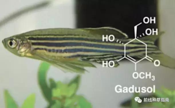 动物防晒VS人类防晒，食物链顶端的我们居然败了？！