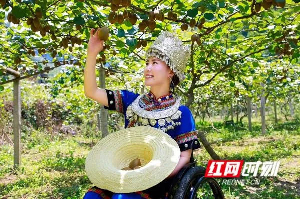 杨淑亭性格,杨淑亭的事迹