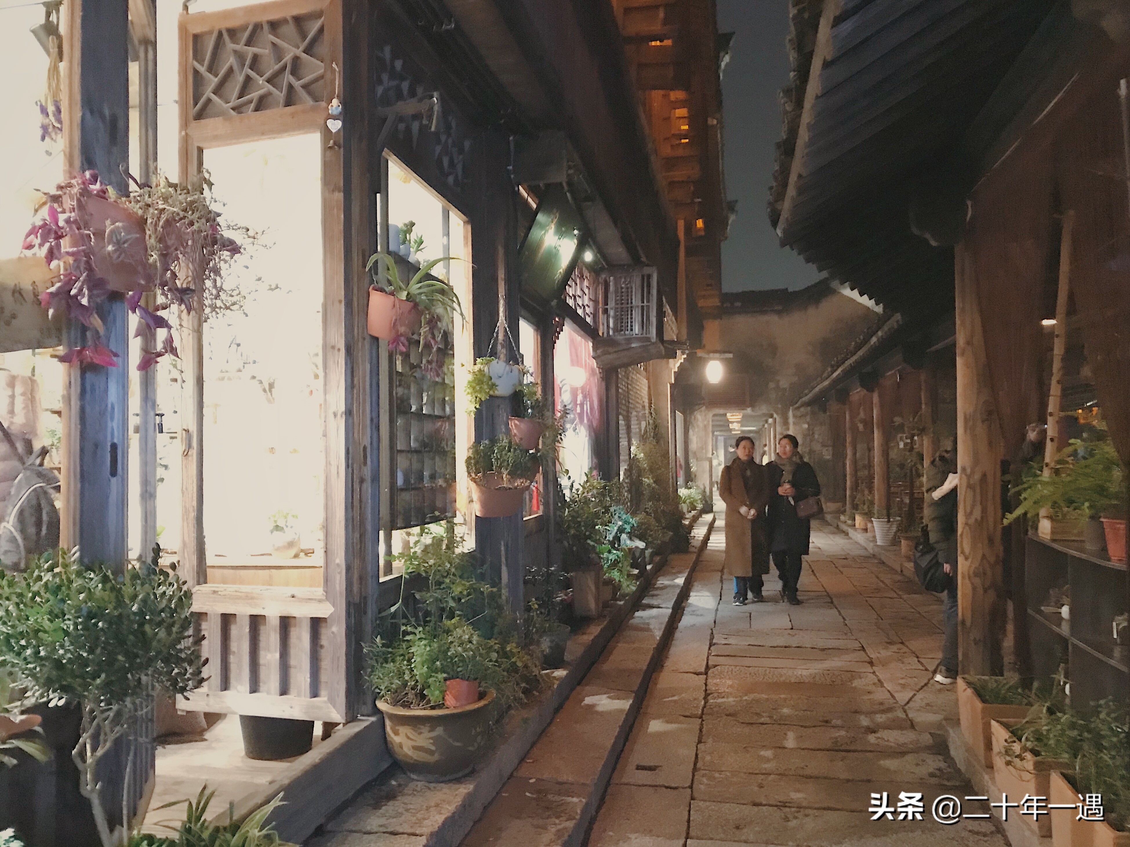 乌镇适合一日游吗,乌镇最好的一日游