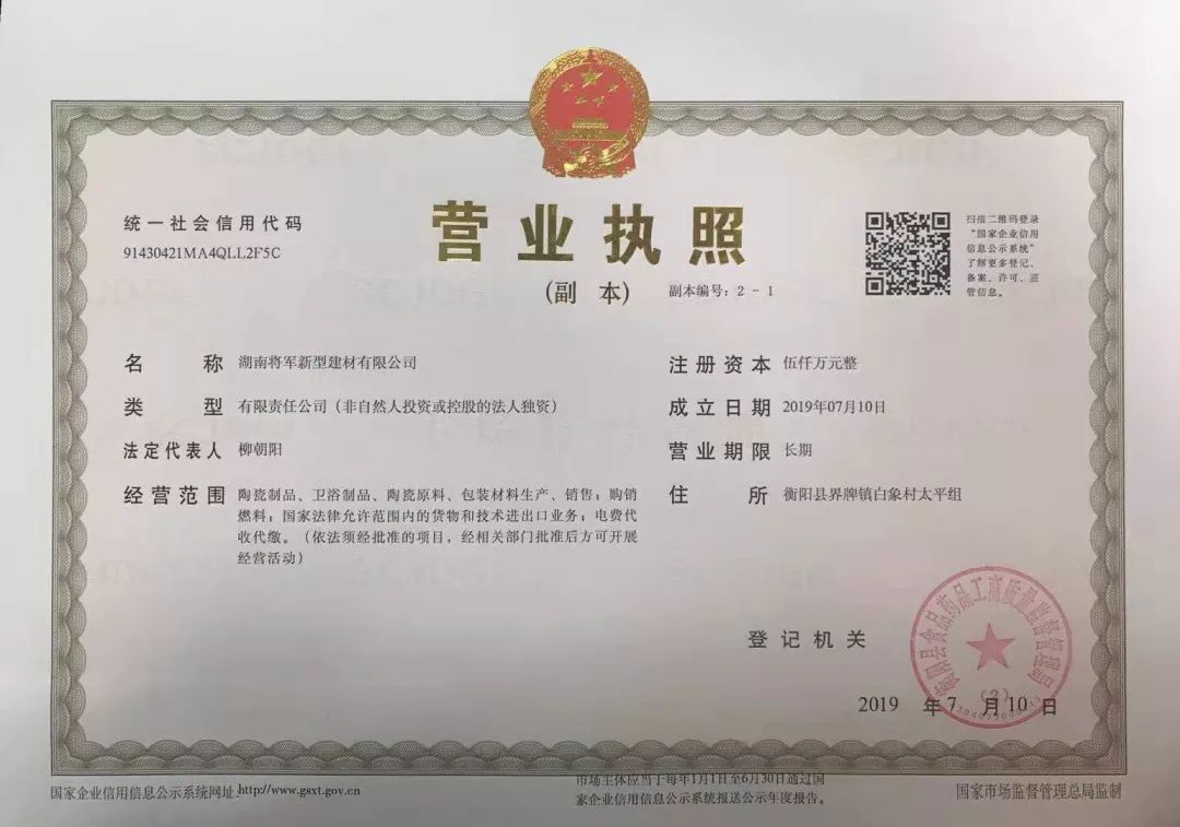 大将军被定罪完整视频,大将军被废双眼