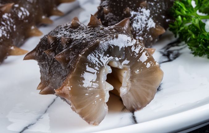 常吃海参,吃海参应注意些什么