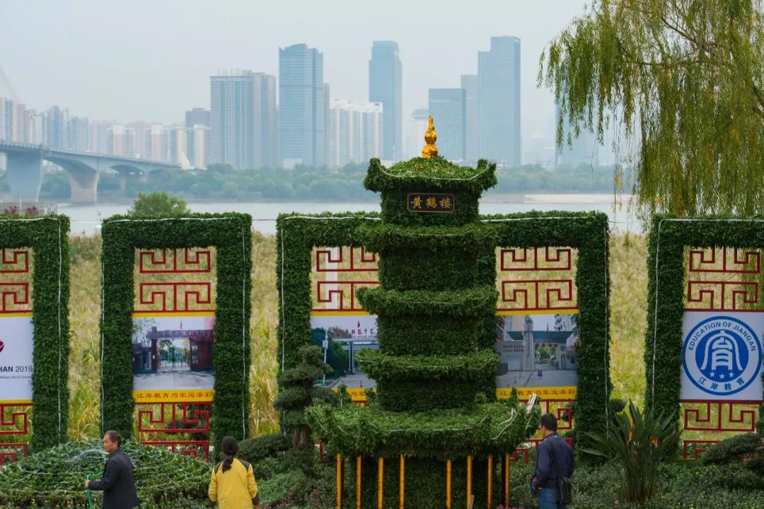 武汉第38届金秋菊展东湖展区,武汉第38届金秋菊展已开幕