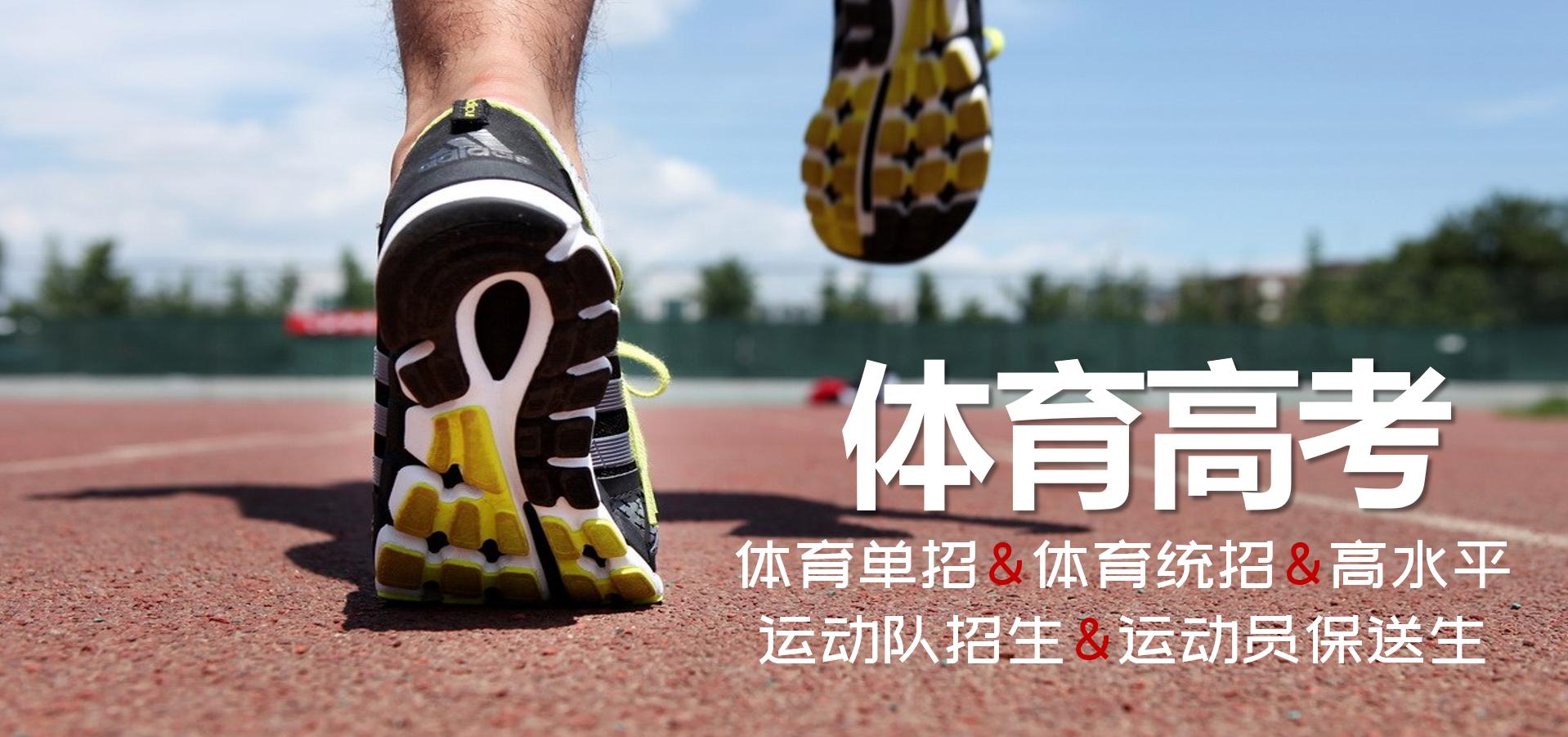 体育高考单招英语讲解视频,体育单招和高水平运动队录取规则