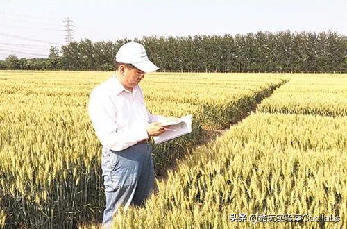 北京三环农田,北京三环麦田房价