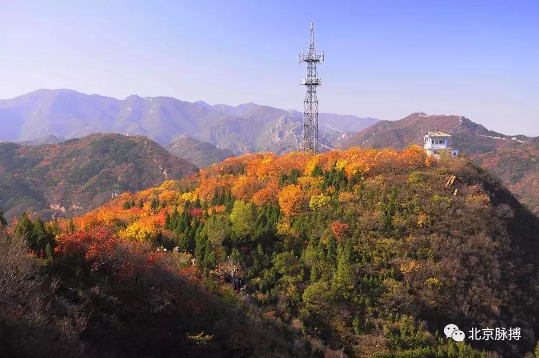 北京国家森林公园风景,画说北京故事