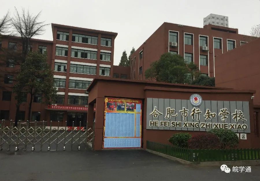 名校解读合肥行知学校,合肥38中东校区和行知学校哪个好