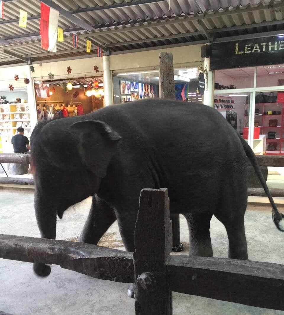 最好的时光遇见你全集,最好的时光泰剧版