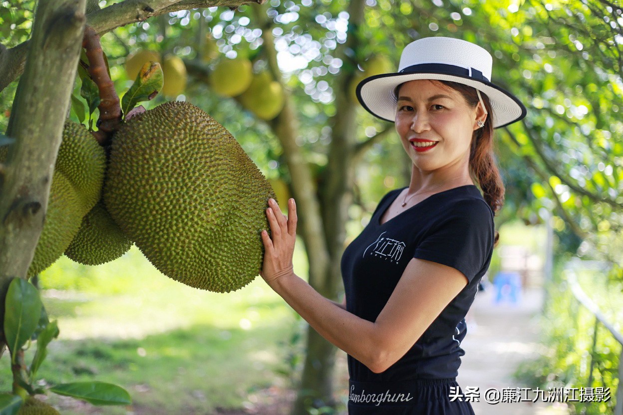 湛江市廉江荔枝节开幕式视频,廉江荔枝文化节