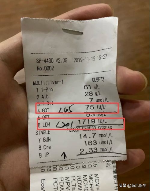 哪个品牌的猫粮把猫吃死了,go猫粮出事后怎么办