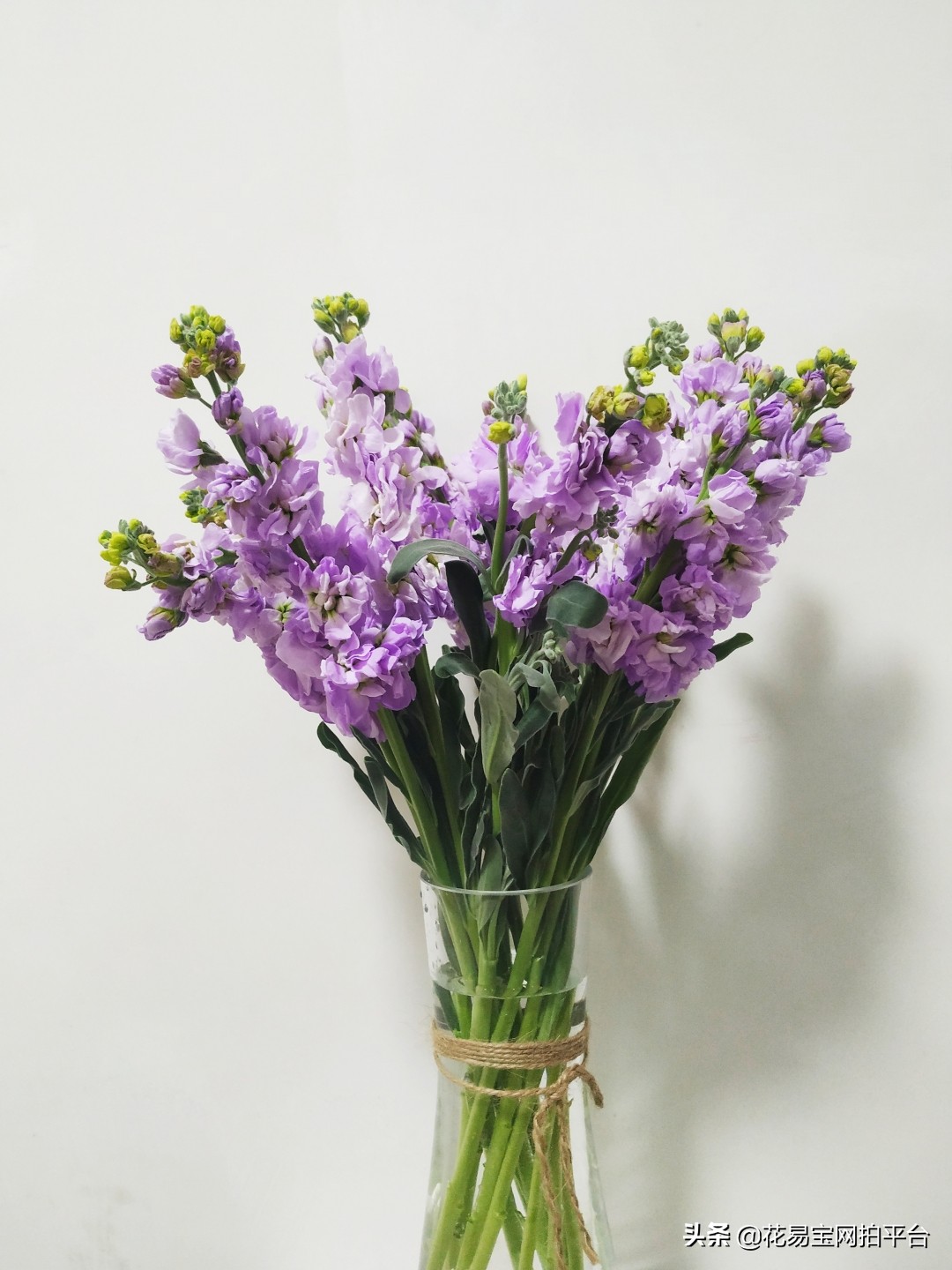 如果你听过它，你就知道它有多适合送给女神了