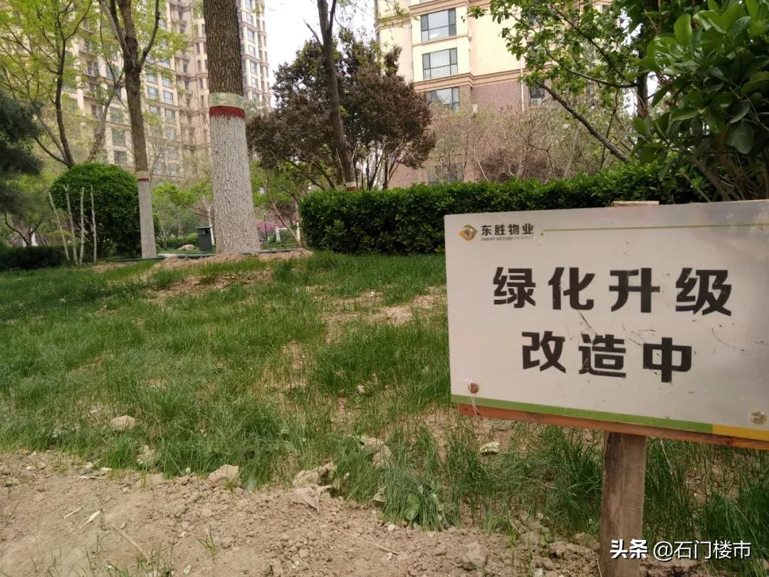 实地探访红盘交房后真实一面,解密热销红盘背后的生活理想