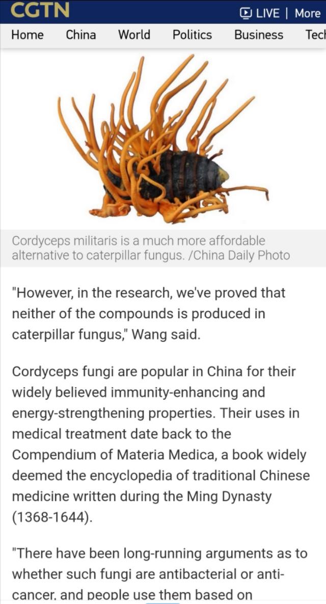 从广西“达妮”出落成“蛹虫草皇”