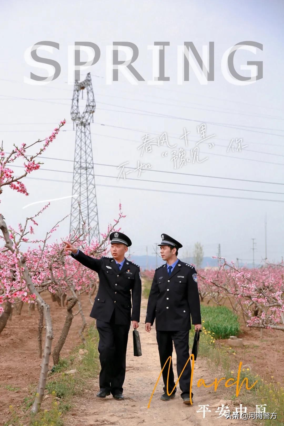 豫警文苑丨春风十里,不如“豫见”你