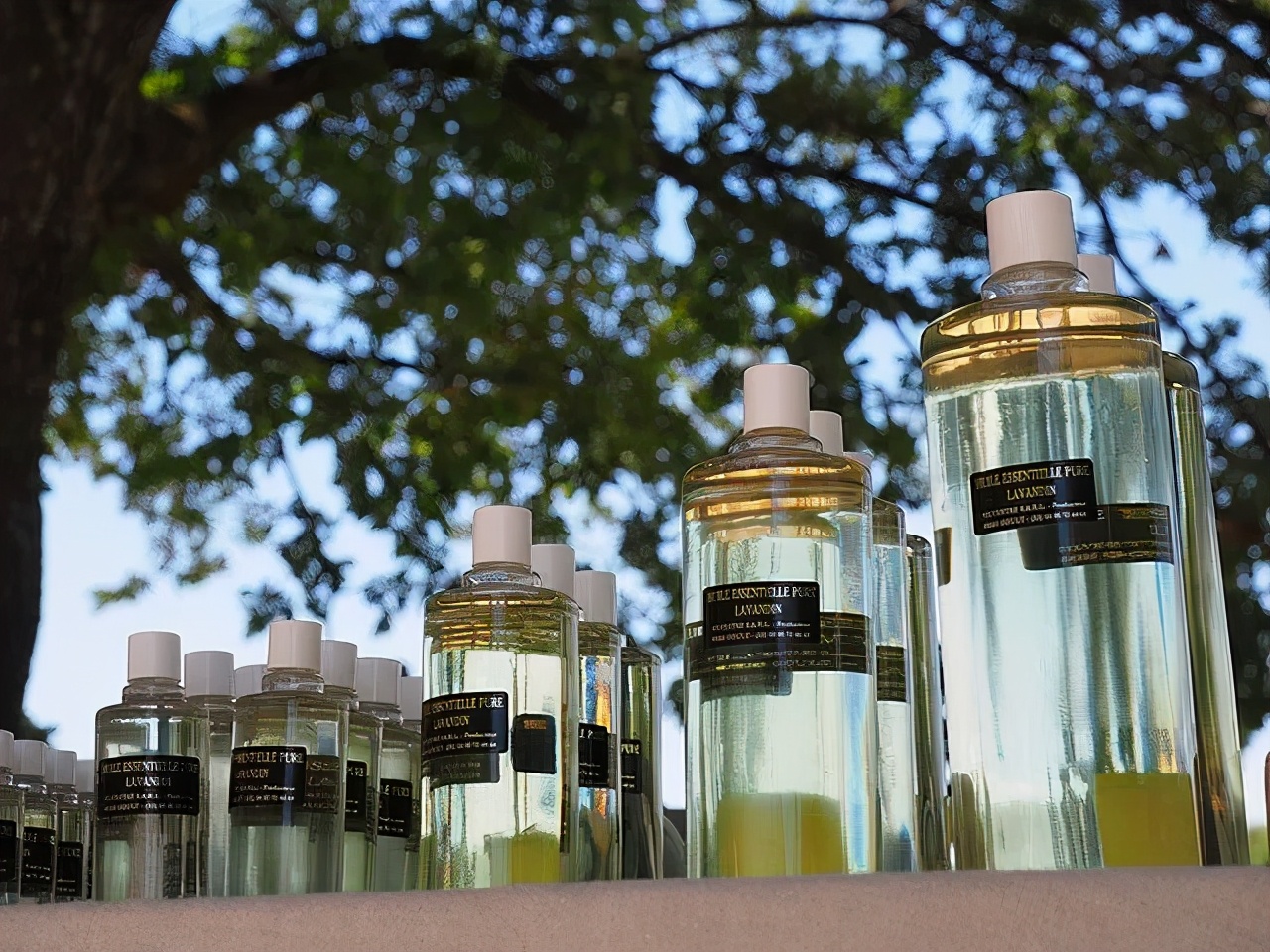 纯植物提取物都有什么品牌,国际植物提取物排行