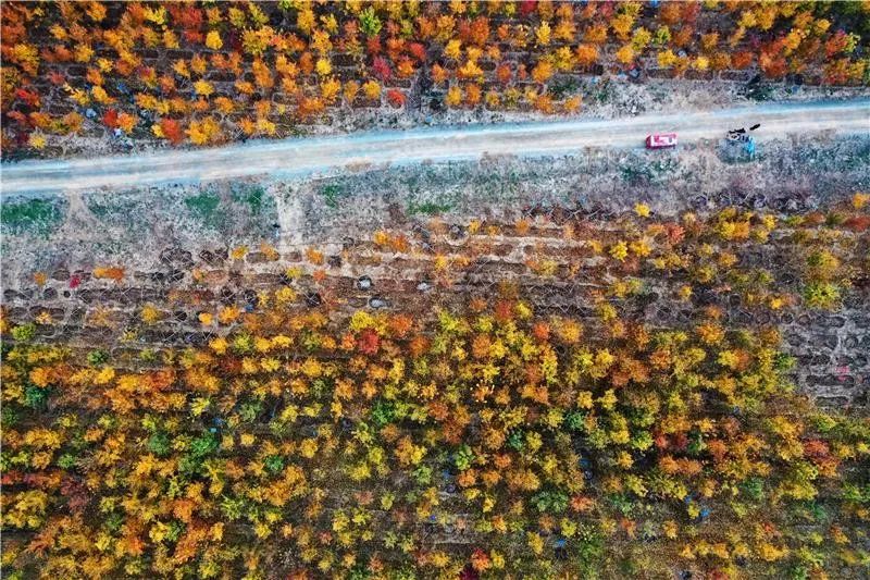 雄安风景好的地方,雄安新区必去十大景点