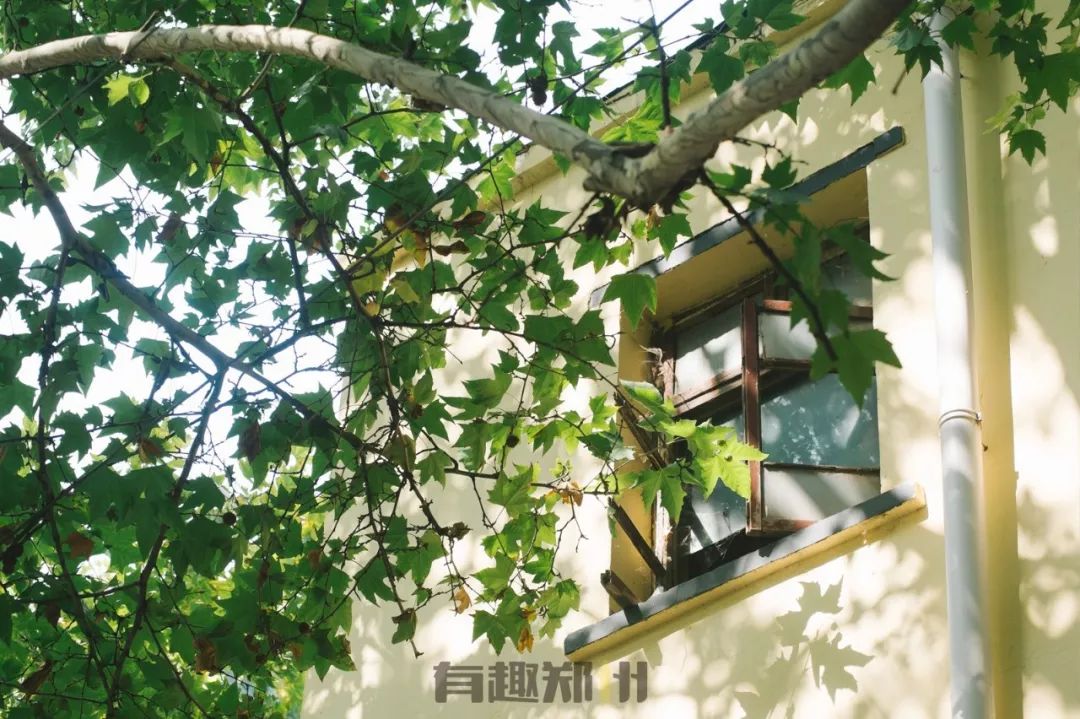 郑州金水路房价5万元,郑州金水区南阳路二手房价多少