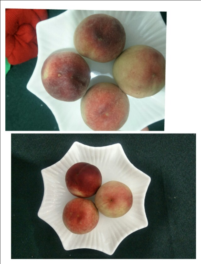 桃子的毛怎么去,桃子的毛怎么清理