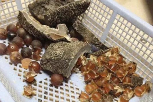 只为一串佛珠，他活剥了我妈的皮：人心有多可怕，你根本想象不到