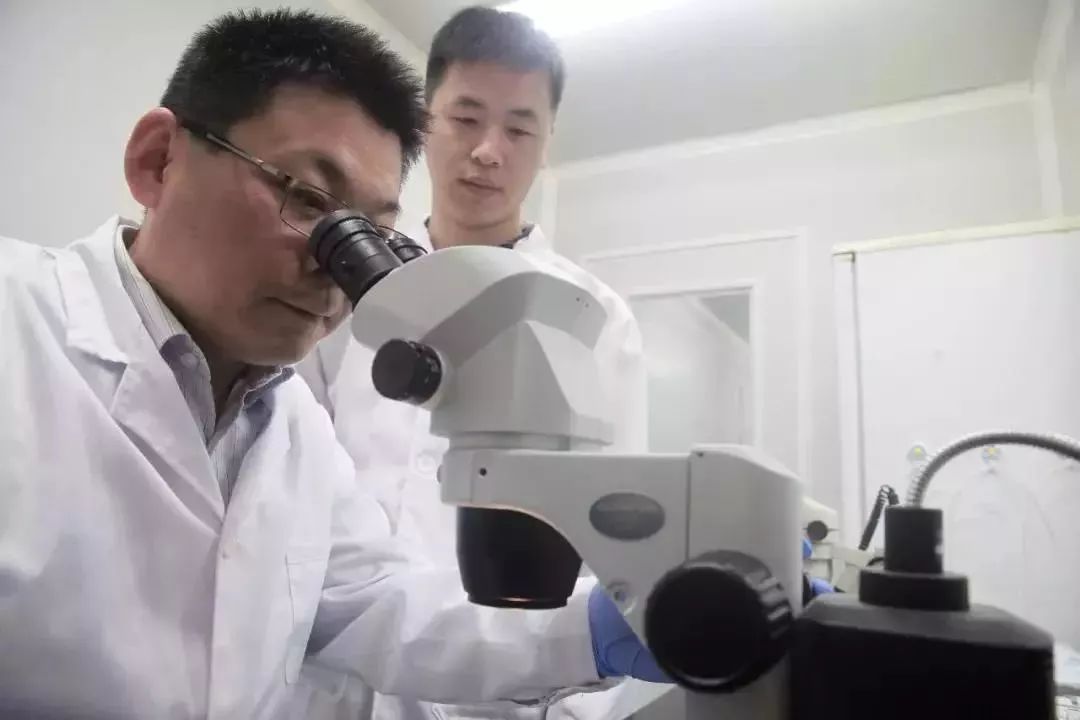 铚堟敮娲插矝娴锋磱缁存姢,铚堟敮娲插矝淇濇姢娴锋磱鐜