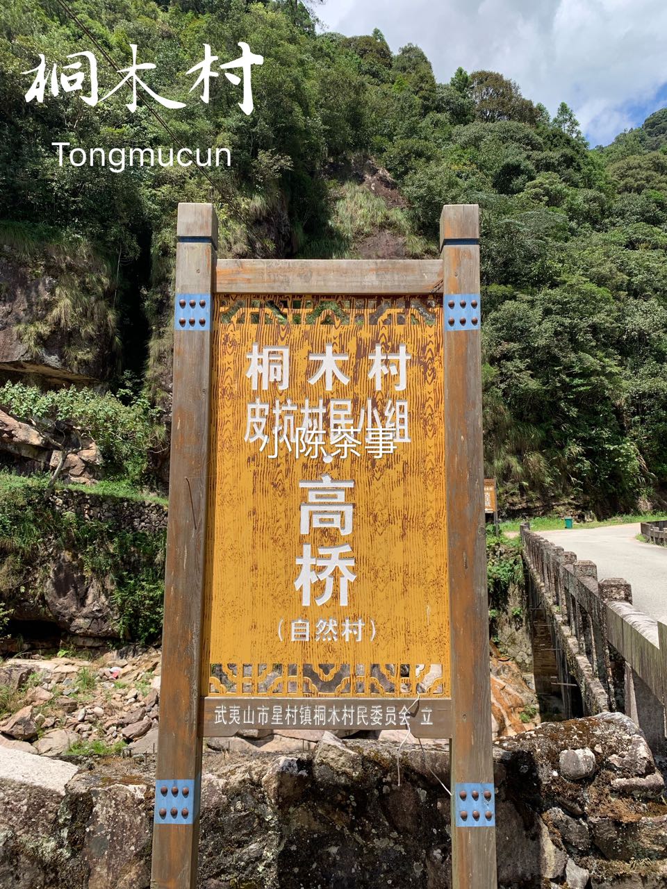 白毫银针和金骏眉是同一种茶底吗,绿茶龙井红茶金骏眉白茶白毫银针