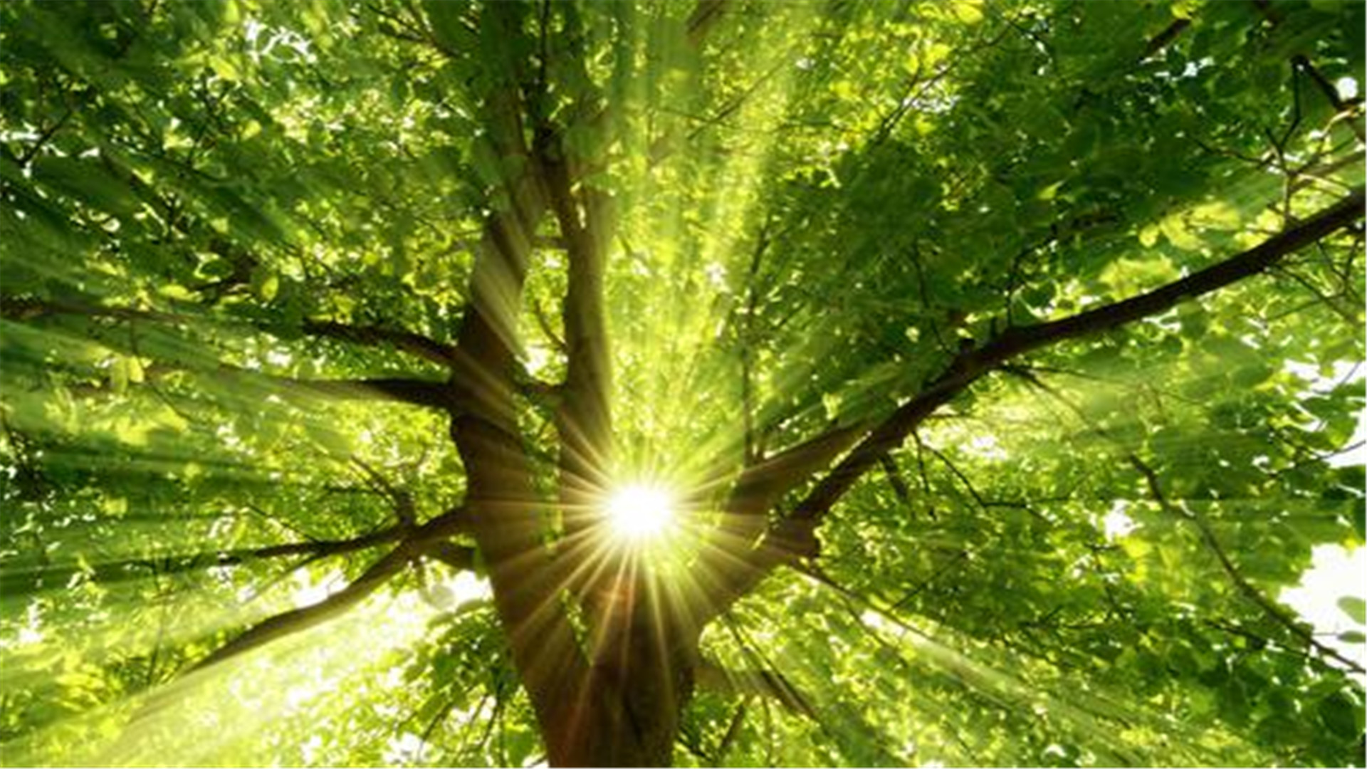 蓝色护眼壁纸唯美图片,最美的护眼桌面壁纸