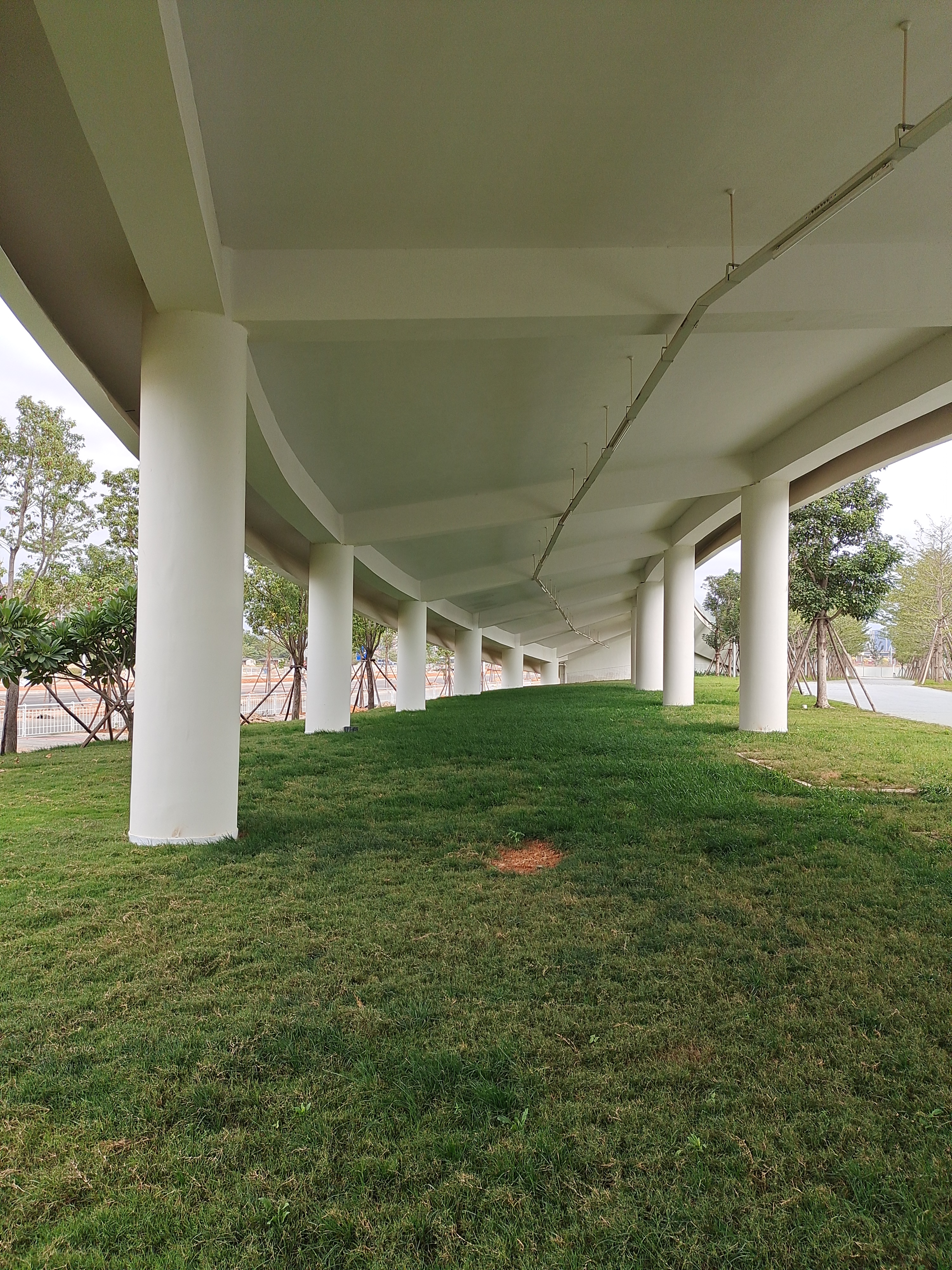 晋江市第二体育中心参观,晋江市第二体育馆全景