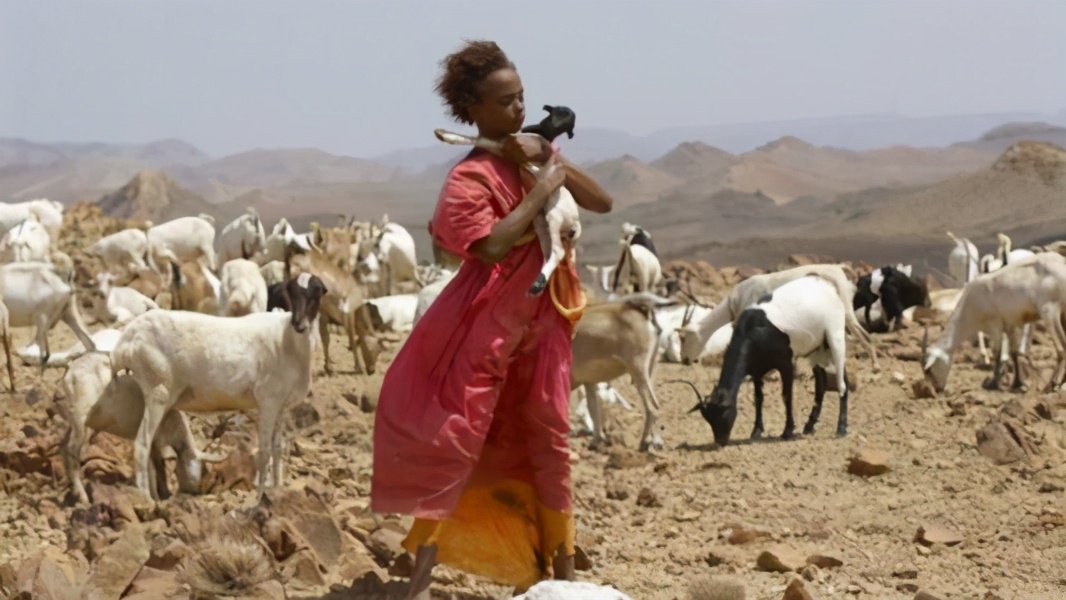 “割礼”惨无人寰的陋习，*害迫**着女性身体，震撼人心《沙漠之花》